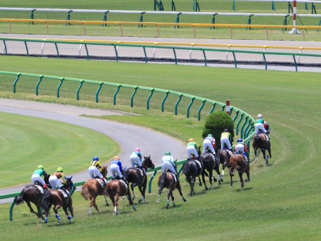 二零二三年十一月廿六日各場賽馬扶乩文