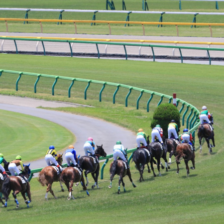 二零二三年十一月廿六日各場賽馬扶乩文